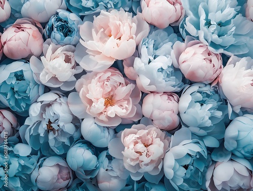 Beautiful Pastel Pink and Blue Peonies Floral Background Texture