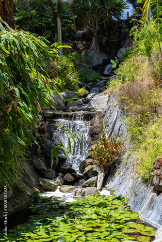 Serene Garden Stream
