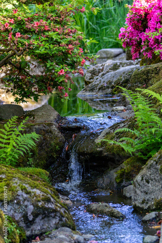 Tranquil Garden Stream with Azaleas and Mossy Rocks