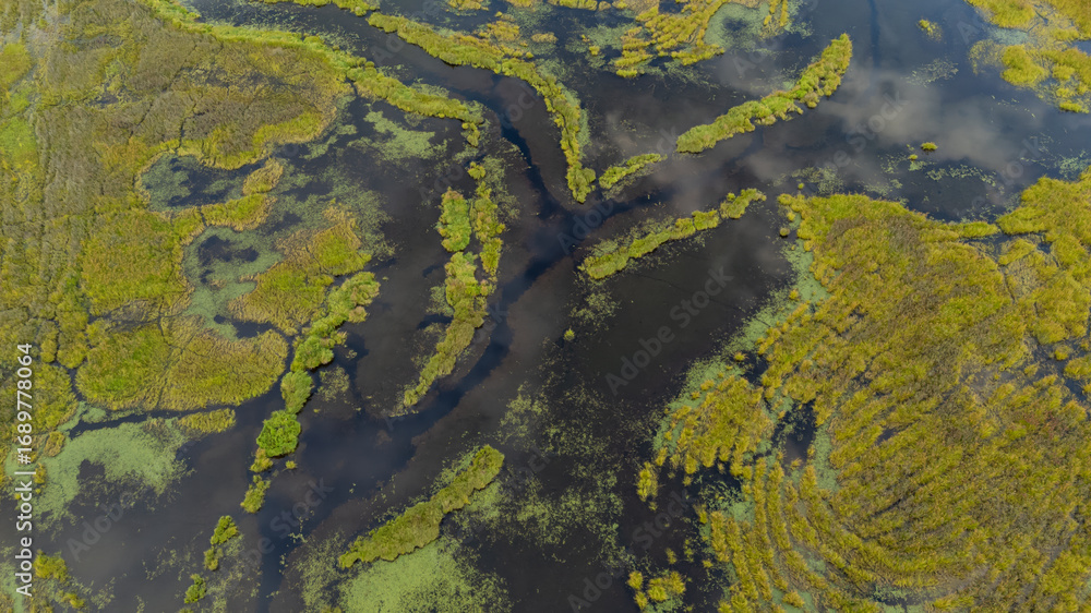 Aerial View of a Marshland Landscape in BC, Canada with Vegetation Aerial View of a Marshland Landscape in BC, Canada with Vegetation