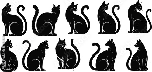 Set of elegant black cat silhouettes in sitting position, vector illustration of feline pets with curved tails, stylish animal design for decoration