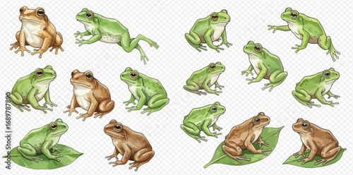 A collection of illustrated green and brown frogs in various poses, including sitting, jumping, and resting on leaves.