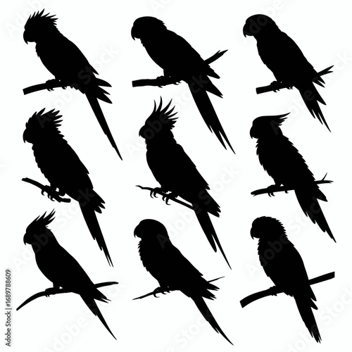 Bird Silhouette Vector Pack