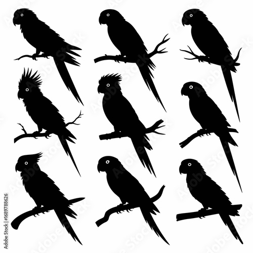 Tropical Parrot Silhouette Set