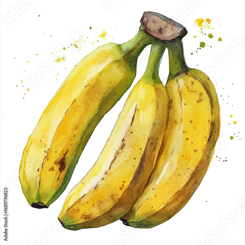 Banana, watercolor clipart vector, isolated on a white background.