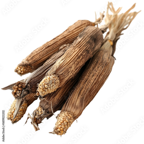 Wallpaper Mural Corn cob PNG cutout isolated on white and transparent background. corn cob, fresh corn, corn PNG, corn cutout, isolated corn, corn on white, corn transparent background, sweet corn, organic corn. Torontodigital.ca