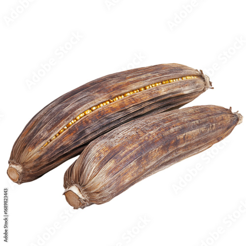 Wallpaper Mural Corn cob PNG cutout isolated on white and transparent background. corn cob, fresh corn, corn PNG, corn cutout, isolated corn, corn on white, corn transparent background, sweet corn, organic corn. Torontodigital.ca