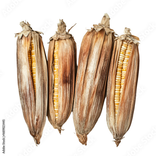 Wallpaper Mural Corn cob PNG cutout isolated on white and transparent background. corn cob, fresh corn, corn PNG, corn cutout, isolated corn, corn on white, corn transparent background, sweet corn, organic corn. Torontodigital.ca