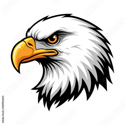 american bald eagle