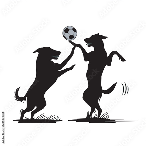 black dogs playing football