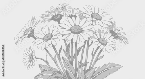 Elegant daisy bouquet grayscale illustration, floral design elements, spring season