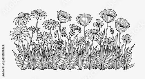 Elegant floral garden drawing with stylized poppies and daisies artwork