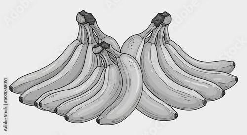 Elegant monochromatic rendition of banana clusters, ripe and ready
