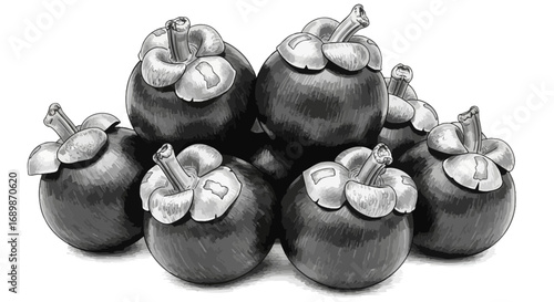 Monochromatic mangosteen medley, artistic rendering with striking detail