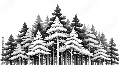 Monochromatic pine forest illustration with detailed tree textures