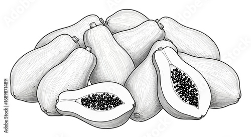 Monochrome Illustration of Papaya Fruits with Seeds Showing Details