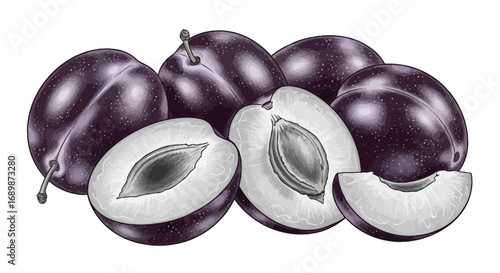Artistic depiction of plums, showcasing vibrant colors and intricate details