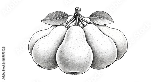Artistic pear illustration with textured details and organic aesthetics
