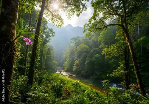 Sunlight streams through the dense canopy of a lush tropical rainforest, illuminating a pristine river flowing through a verdant valley