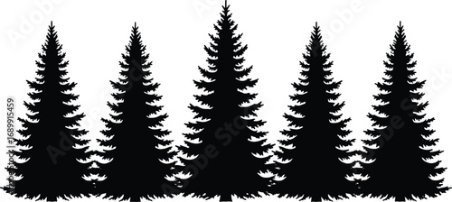 Silhouette of pine trees forest, evergreen tree vector, winter nature landscape, black Christmas tree shapes, conifer woods background, isolated illustration