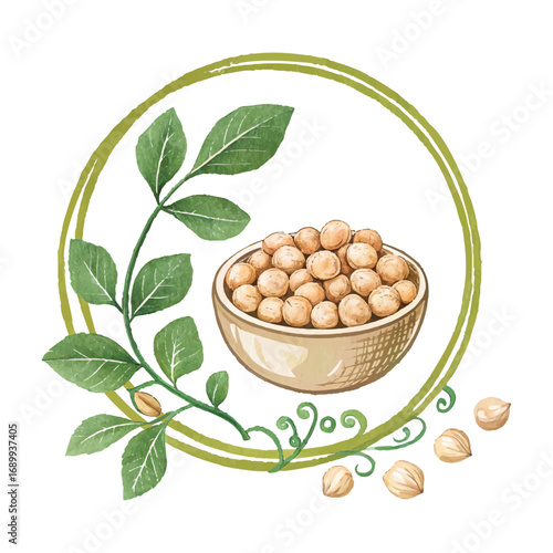 Watercolor-style vector illustration of chickpeas in a bowl with green leaves and circular frame