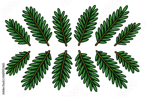 Evergreen fir branches set arranged symmetrically. Christmas pine tree needle twigs. Winter holiday decoration element. Nature floral concept. Vector cartoon illustration.