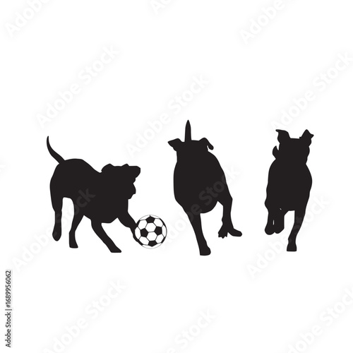 three dogs playing football