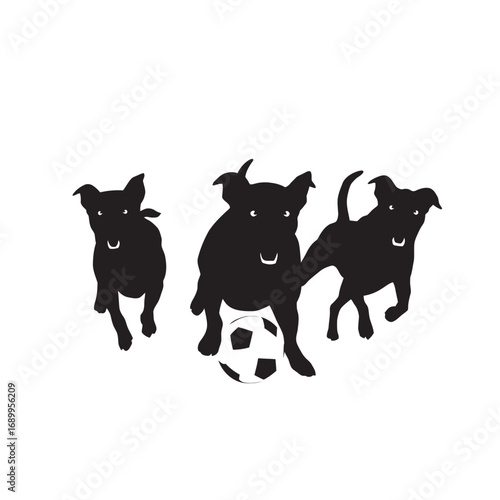 three dogs playing football
