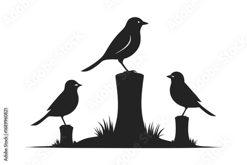 Birds and a crow sitting on a tree branch in nature vector illustration
