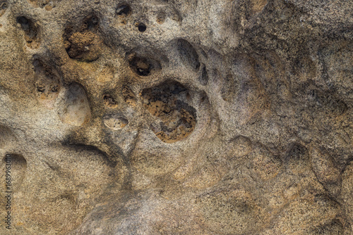Fototapeta Rock surface with natural cavities and erosion texture