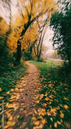 Podobny obraz