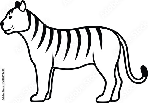 vector illustration of a tiger