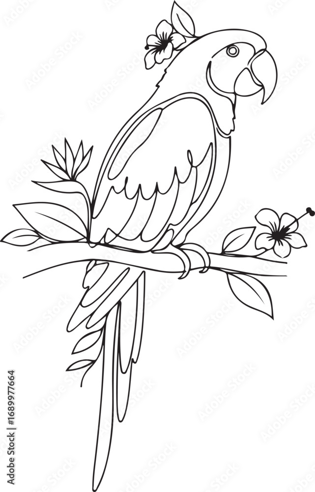 Fototapeta premium Minimal Parrot Perched Line Illustration.647Z