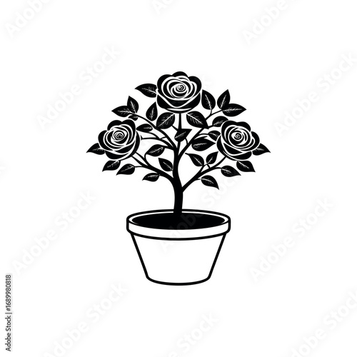 Elegant silhouette of a rose bush planted in a decorative flower pot vector art