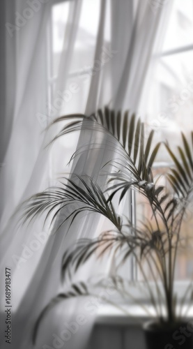 Soft, blurry shot of a potted palm with long, thin leaves by a window with sheer white curtains, and a blurred brick building in the distance