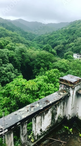 Podobny obraz