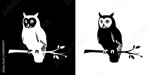 Wise owl perched on a branch, a symbol of knowledge and nocturnal wisdom for your projects.