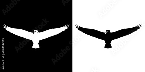 Majestic eagle soaring with outstretched wings, a symbol of freedom and power.