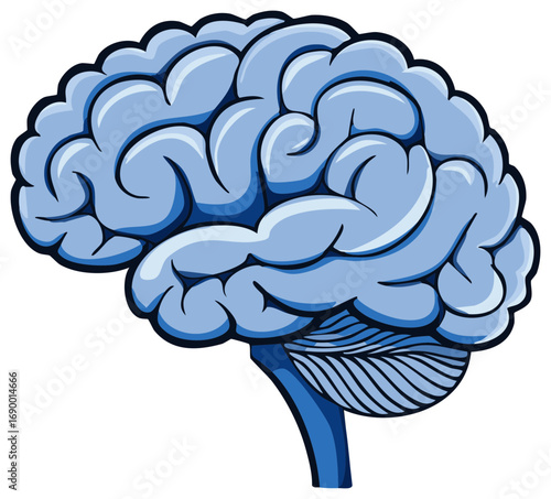 Stylized illustration of the human brain in a blue cartoon style