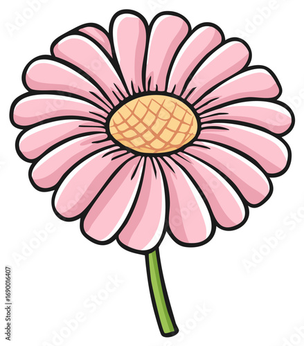 A cheerful pink daisy flower illustration with a green stem and a textured yellow center.