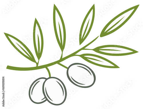 Minimalist vector illustration of an olive branch with green leaves and outlined olives