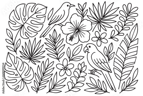 Wallpaper Mural Vector background illustration with tropical theme featuring birds and plants, designed in black and white with bold black outline, symbolizing exotic nature, harmony, and beauty. Torontodigital.ca