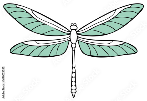 Graphic dragonfly illustration with transparent wings colored in calming mint green, isolated against a clean white backdrop