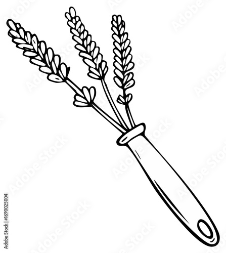 Ink drawing of lavender stems in vase Black and white illustration style Hand drawn sketch of provence flowers in a simple container