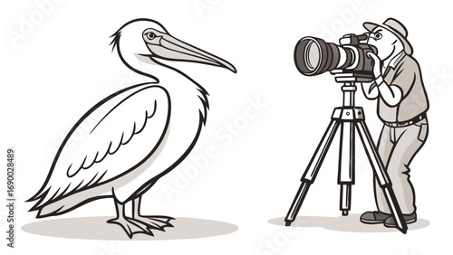 Cartoon illustration of a pelican and a photographer with a camera on a tripod.