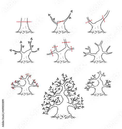 How to prune bonsai branches, black line style on a white background