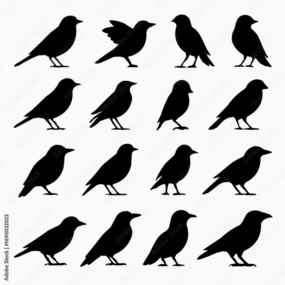 Obraz premium birds on a white background