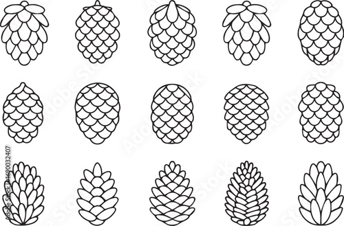 Collection of Stylized Pine Cones Line Art Illustration