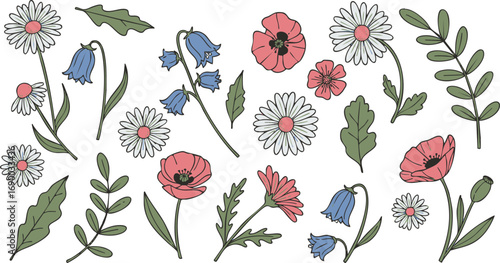 Illustration of various wildflowers including daisies, poppies, and bluebells with assorted leaves on a white background.