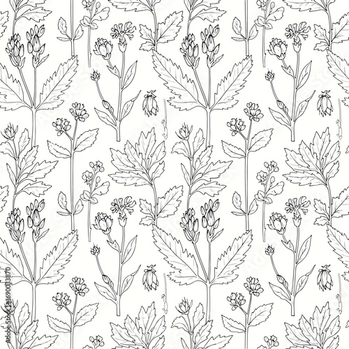 Elegant botanical pattern featuring detailed line drawings of flowering plants, patern seamless, Stock royalty image.